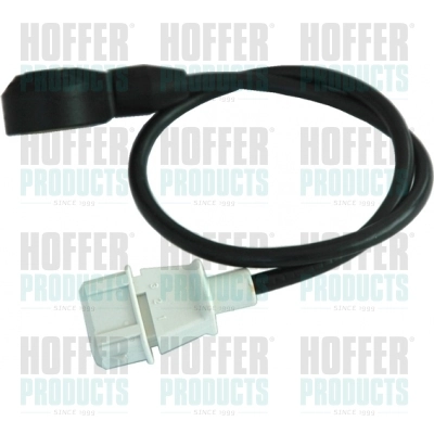 Sensor de detonacion para Ford Galaxy WGR