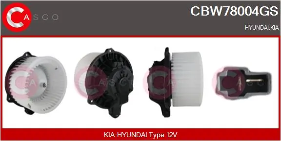 CBW78004GS Casco