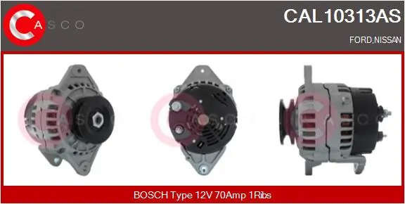 CAL10313AS Casco