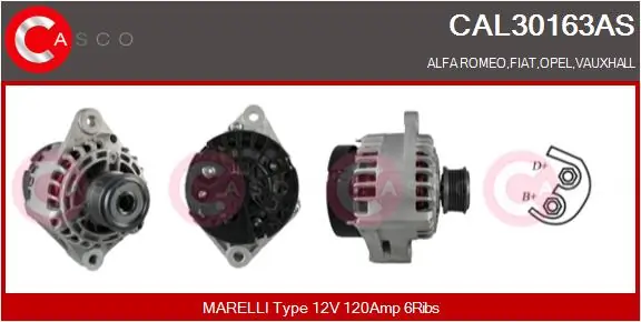 CAL30163AS Casco