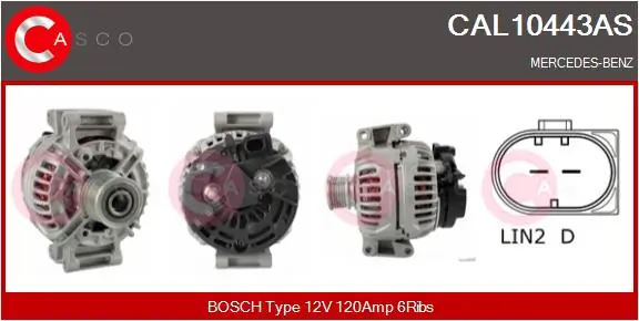 CAL10443AS Casco