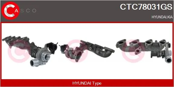 CTC78031GS Casco
