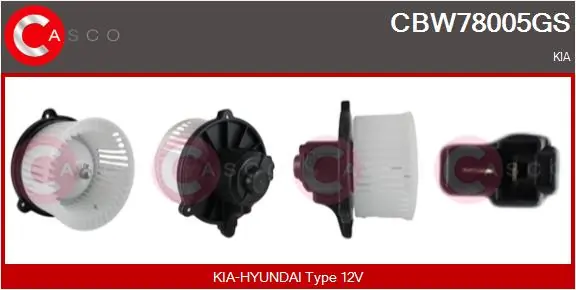 CBW78005GS Casco