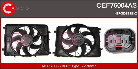 CEF76004AS Casco