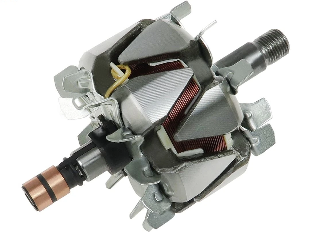Rotor del alternador Profit 72310662