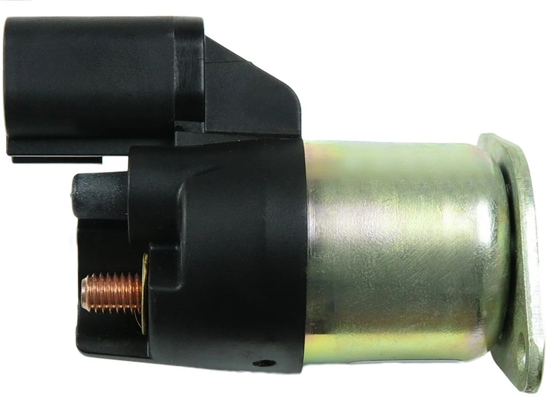 SS0077BOSCH As-pl