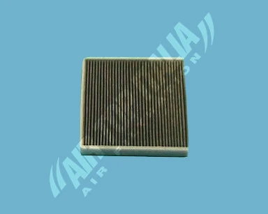AS2434 Aster