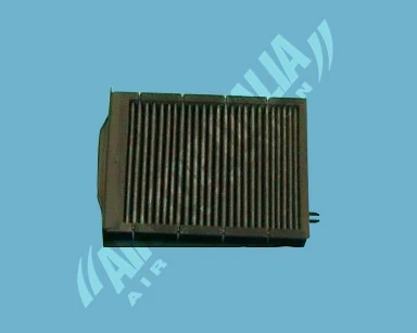Filtro antipolen Renault Megane II (2003-2010)