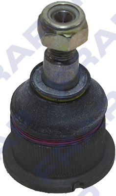 F1081 Frap