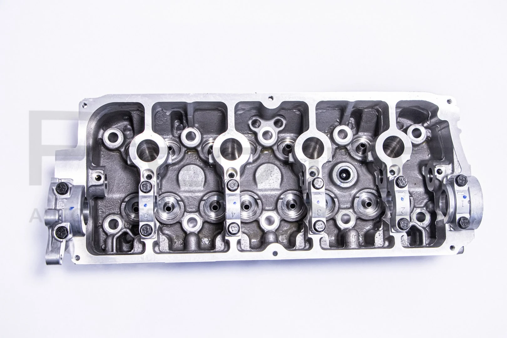 21SZ004 RED Line OIL Cabeza del motor