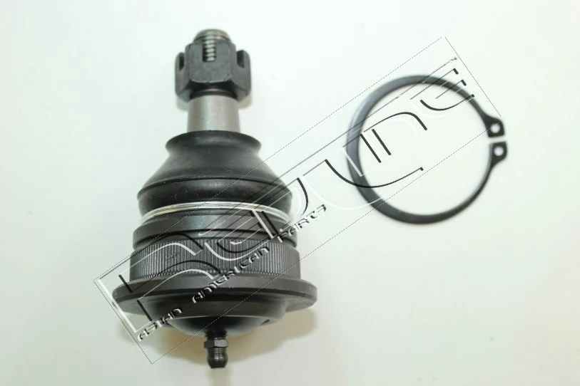 40NI078 RED Line OIL