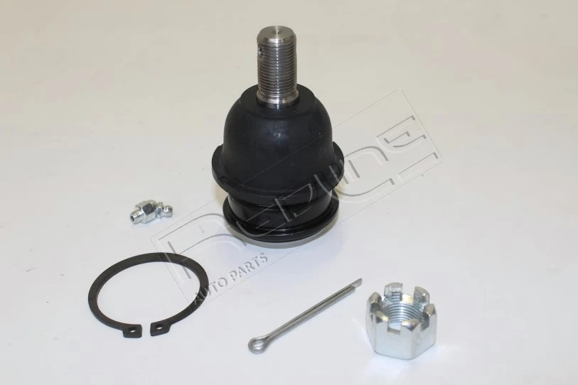 40NI160 RED Line OIL