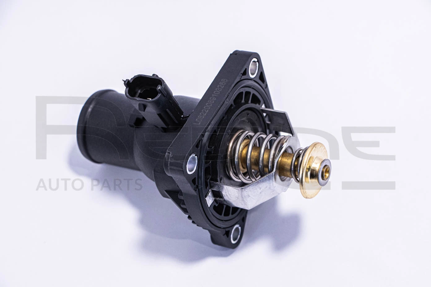 55CV005 RED Line OIL