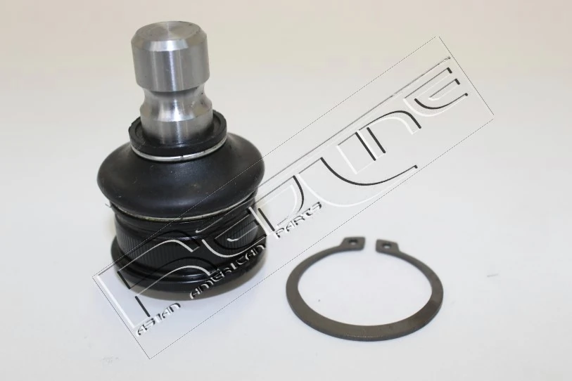 40NI193 RED Line OIL