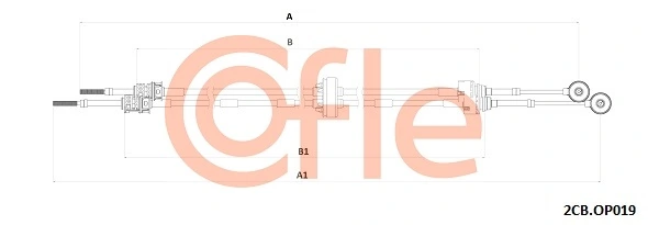 922CBOP019 Cofle