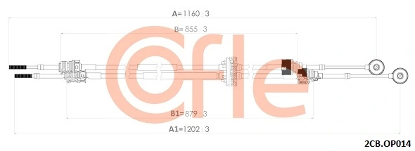 922CBOP014 Cofle