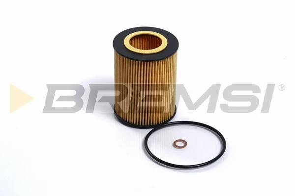 FL0688 Bremsi