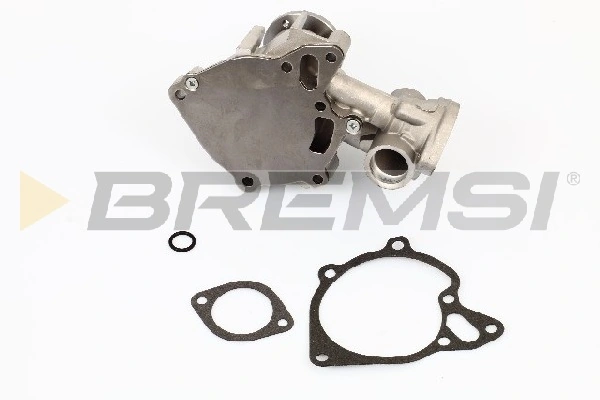 WP0113 Bremsi