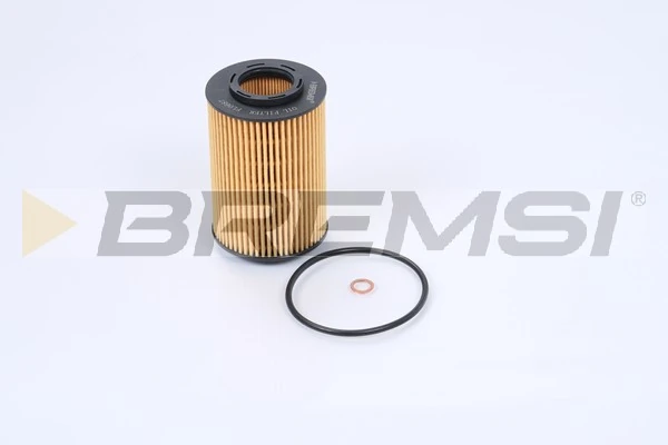 FL0687 Bremsi