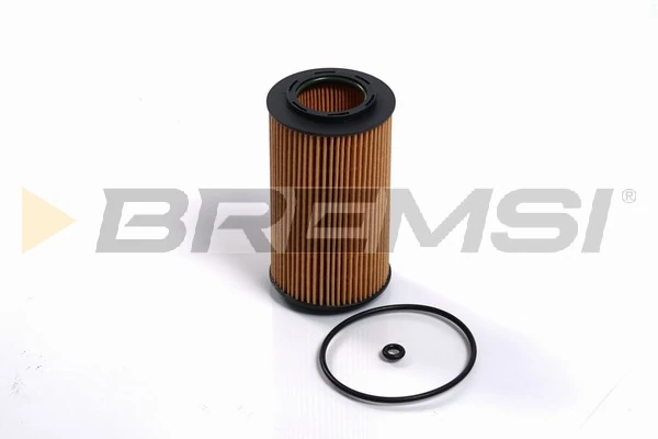 FL2460 Bremsi