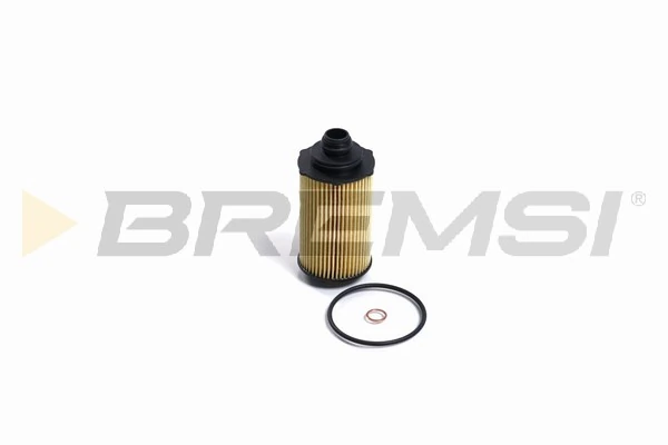 FL2455 Bremsi
