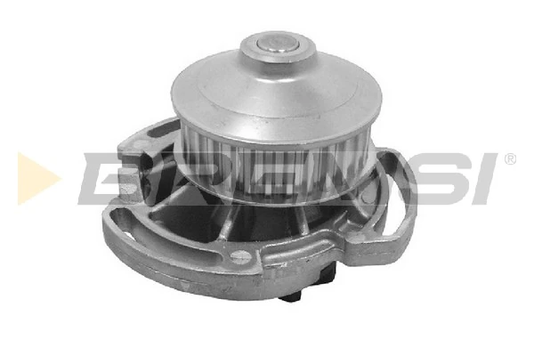 Bombeadora de agua Volkswagen Polo II desde 39,20 €