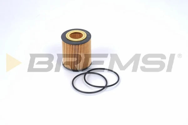 FL0004 Bremsi
