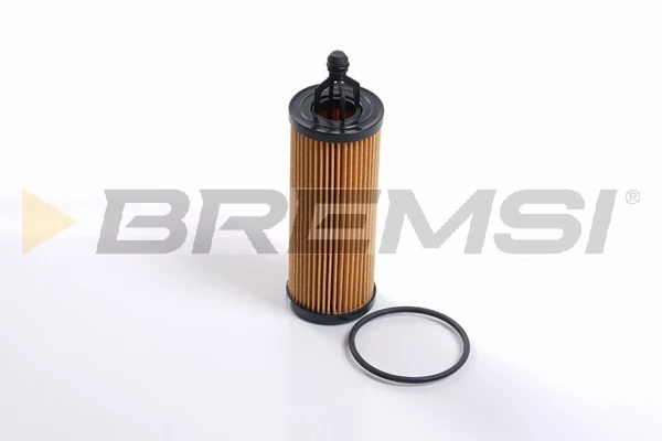 FL2509 Bremsi
