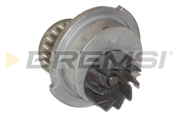 WP0110 Bremsi