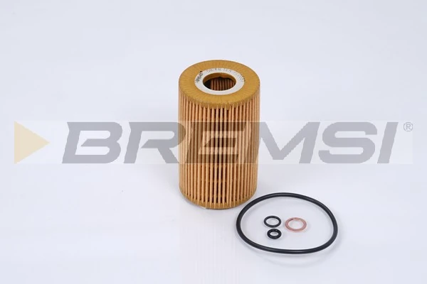 FL0689 Bremsi