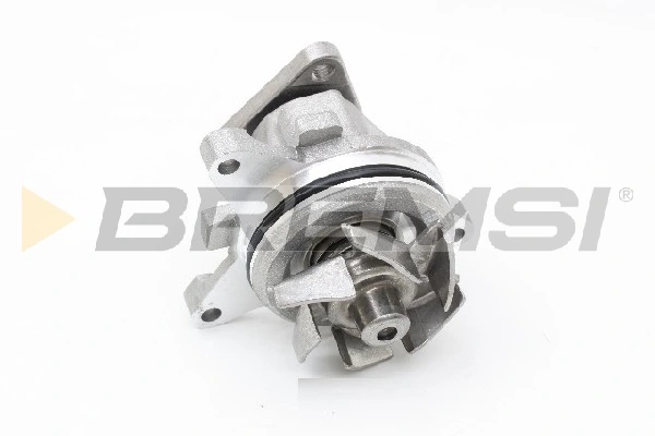 WP0613 Bremsi
