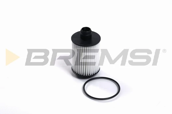 FL2458 Bremsi