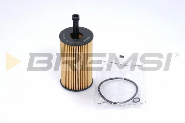 FL0010 Bremsi