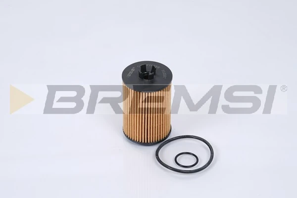 FL0267 Bremsi