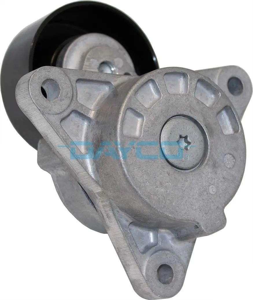 APV2843 Dayco