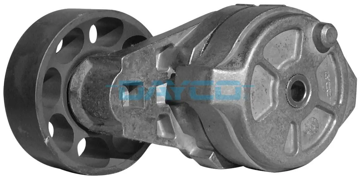 APV1004 Dayco