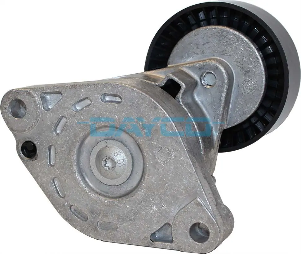 APV3071 Dayco