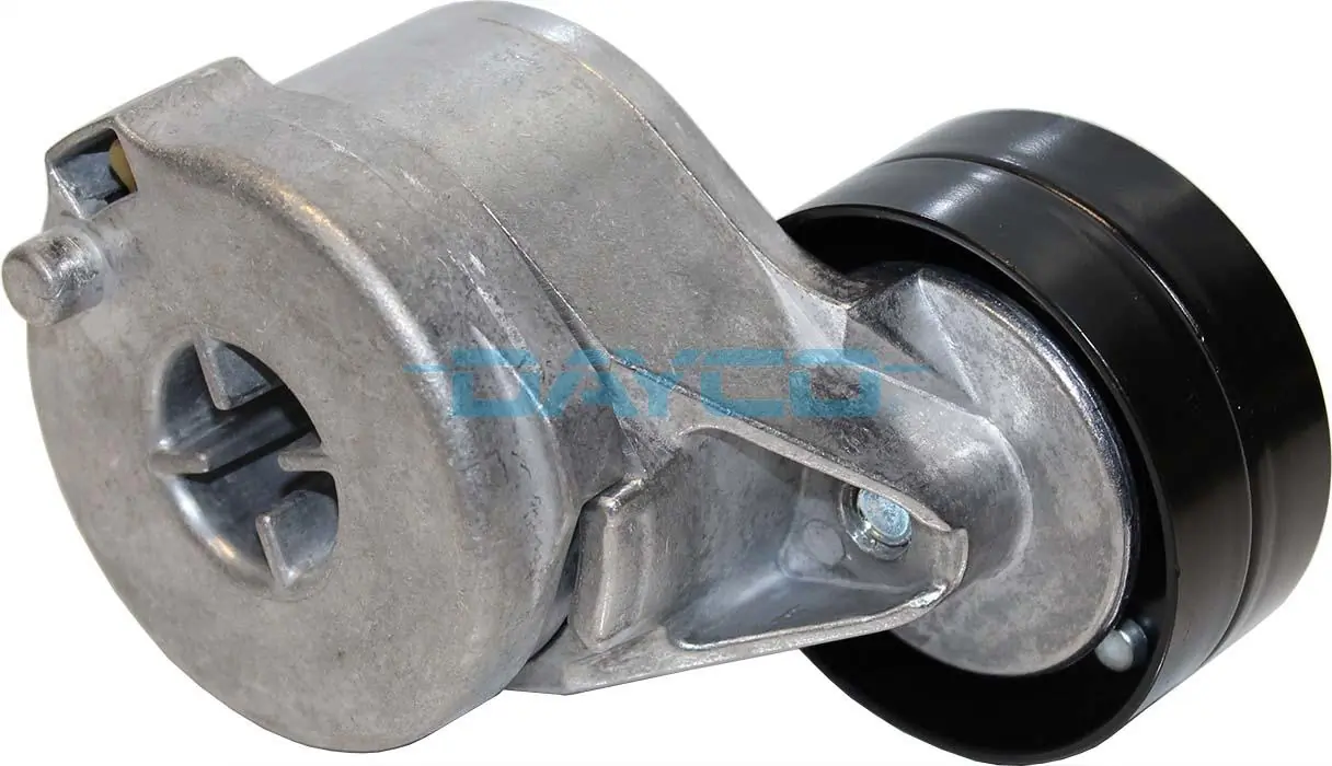 APV2985 Dayco