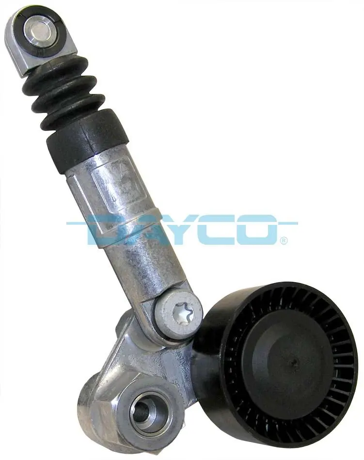 APV2423 Dayco
