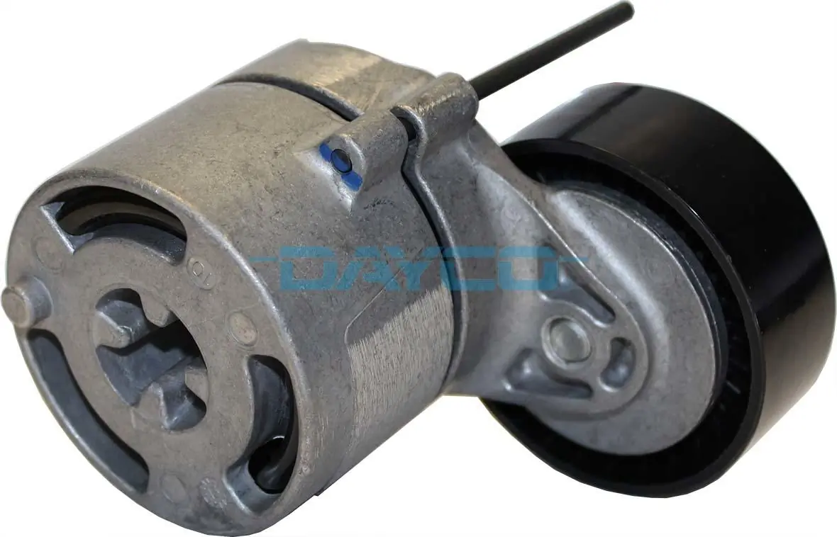 APV3181 Dayco