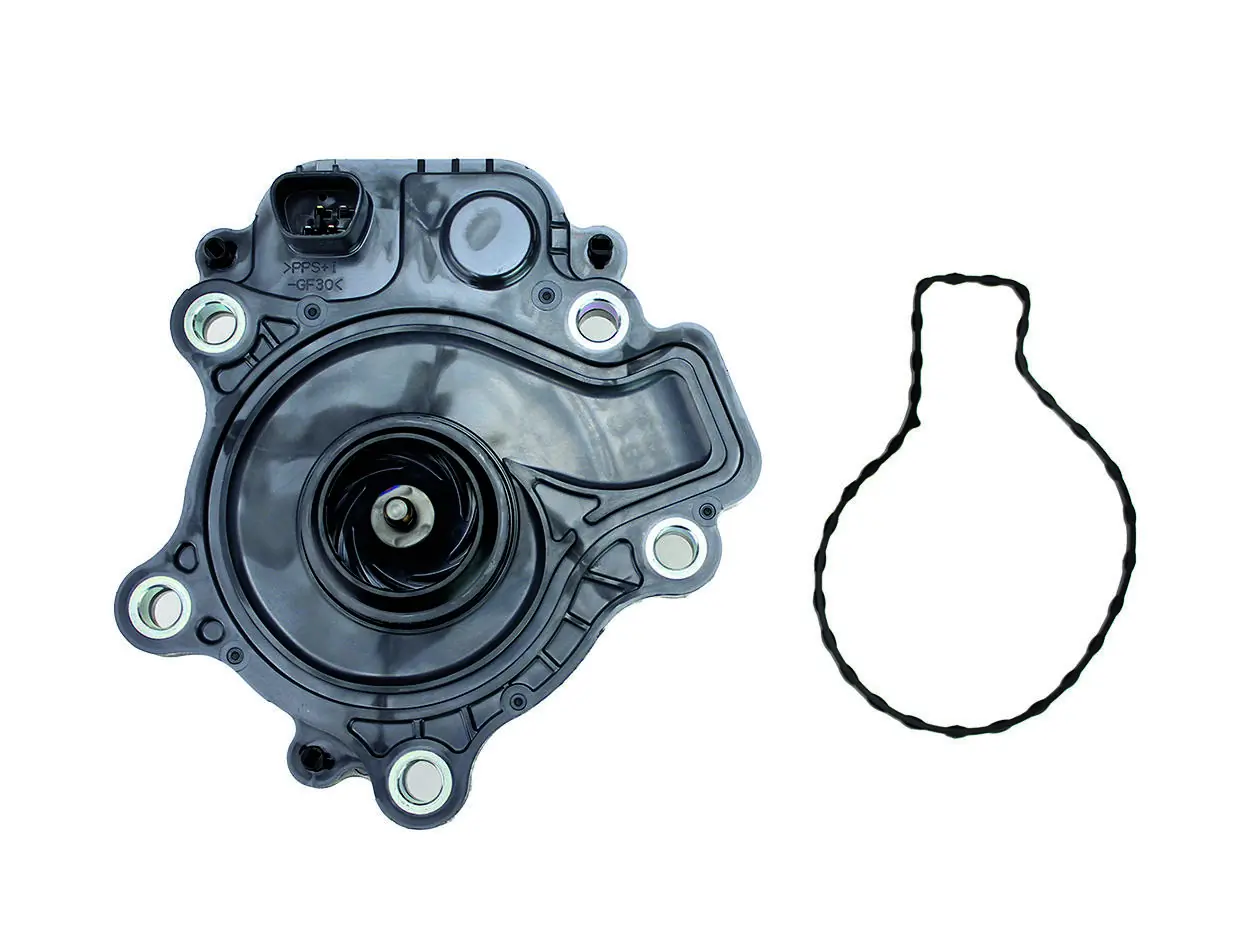 Comprar Bomba de agua Honda CR-V V RW, RT
