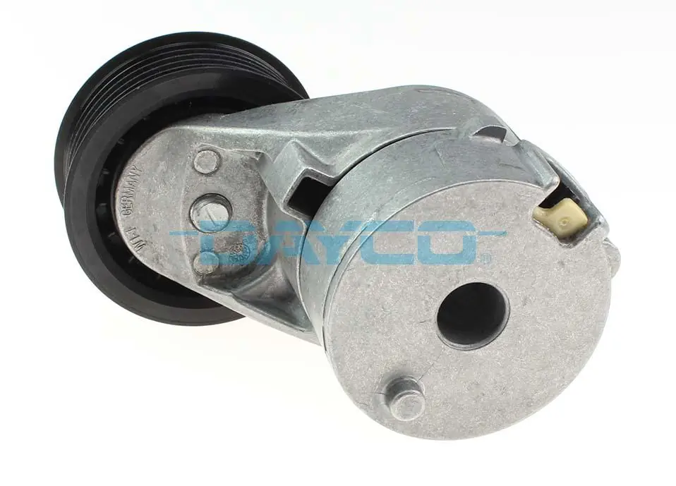 APV3021 Dayco
