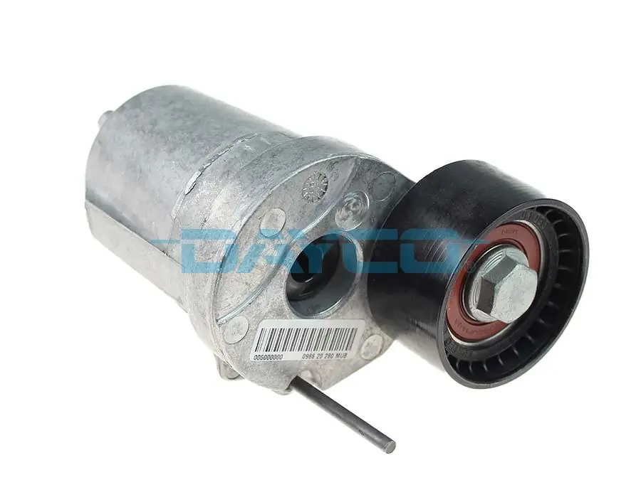 APV2768 Dayco