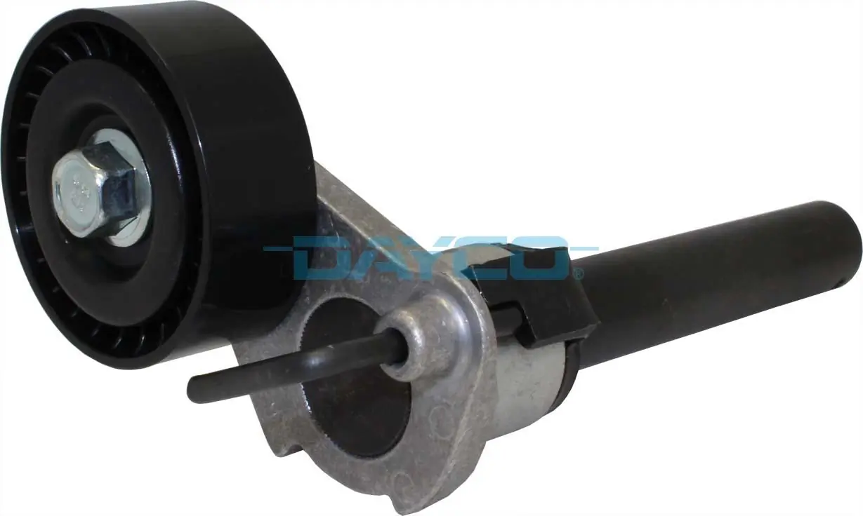 APV2834 Dayco