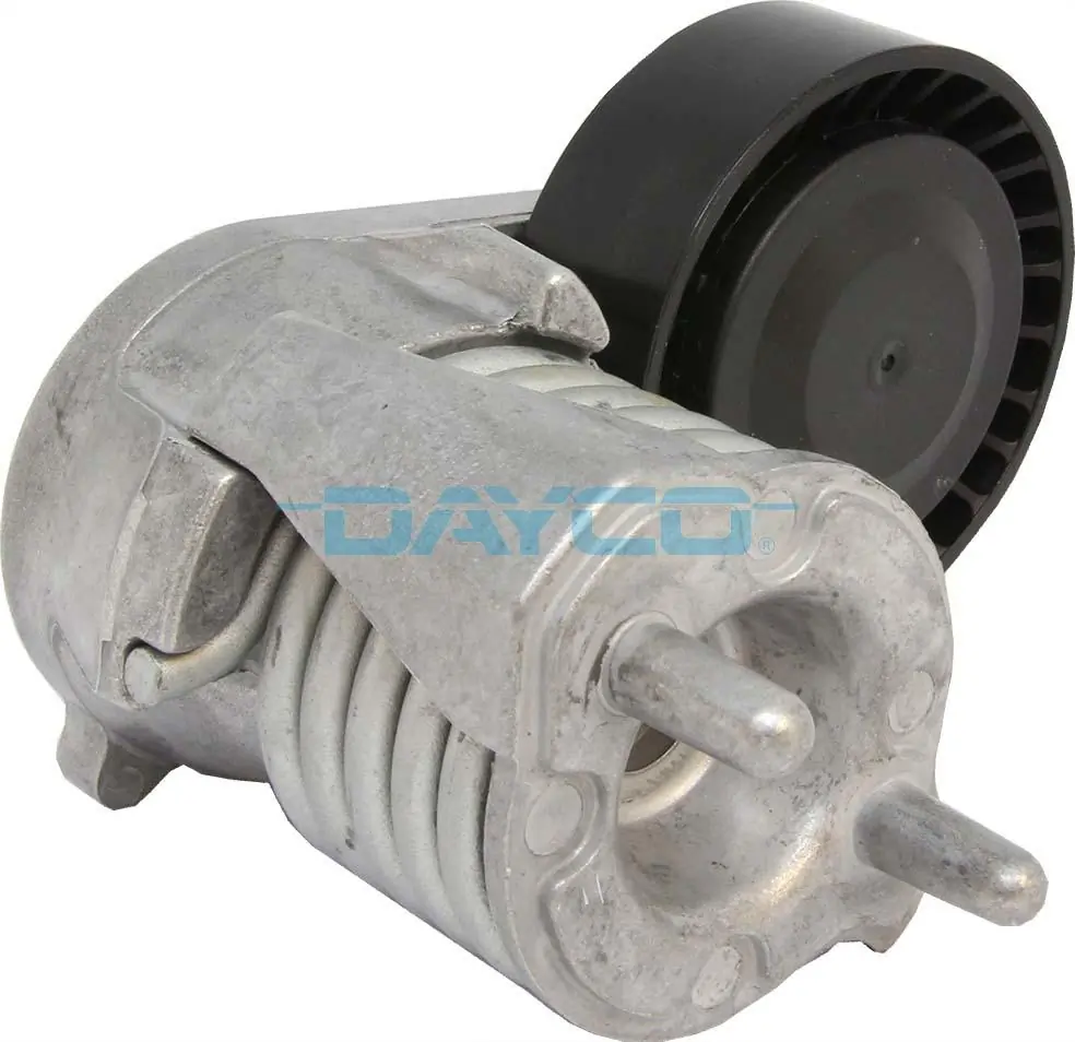 APV3019 Dayco