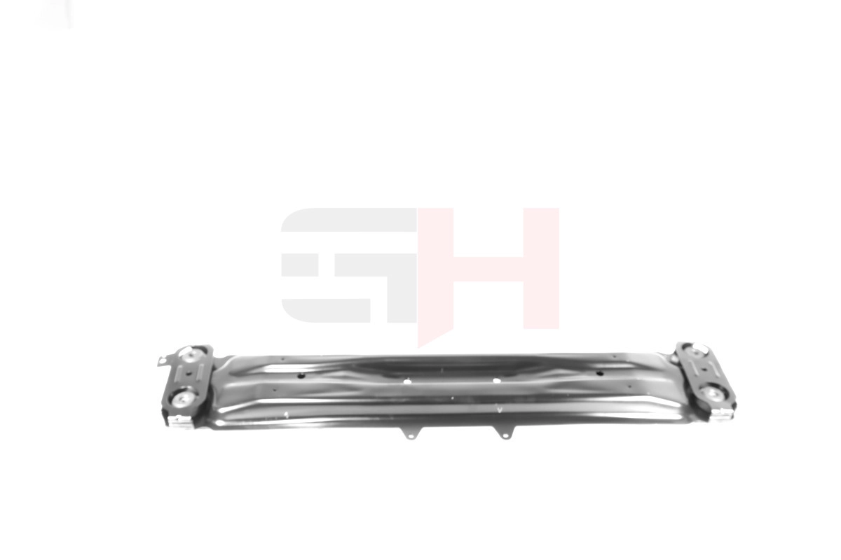 GH595289 GH