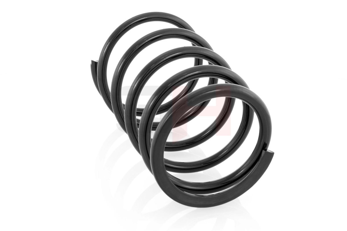 GH222215 GH Muelle trasero