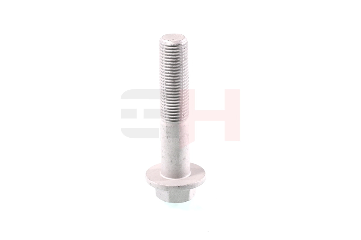 GH393389 GH