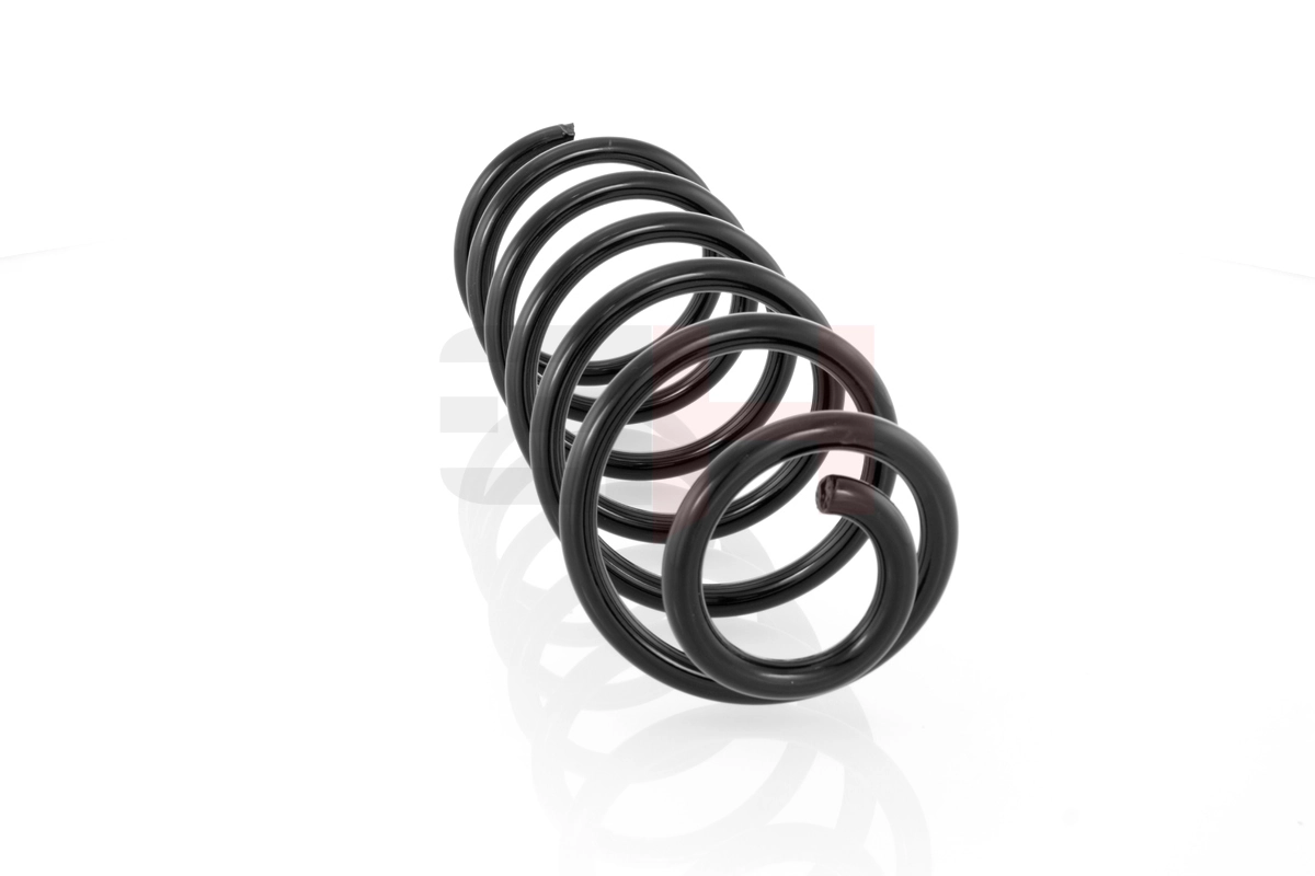 GH223609 GH Muelle trasero
