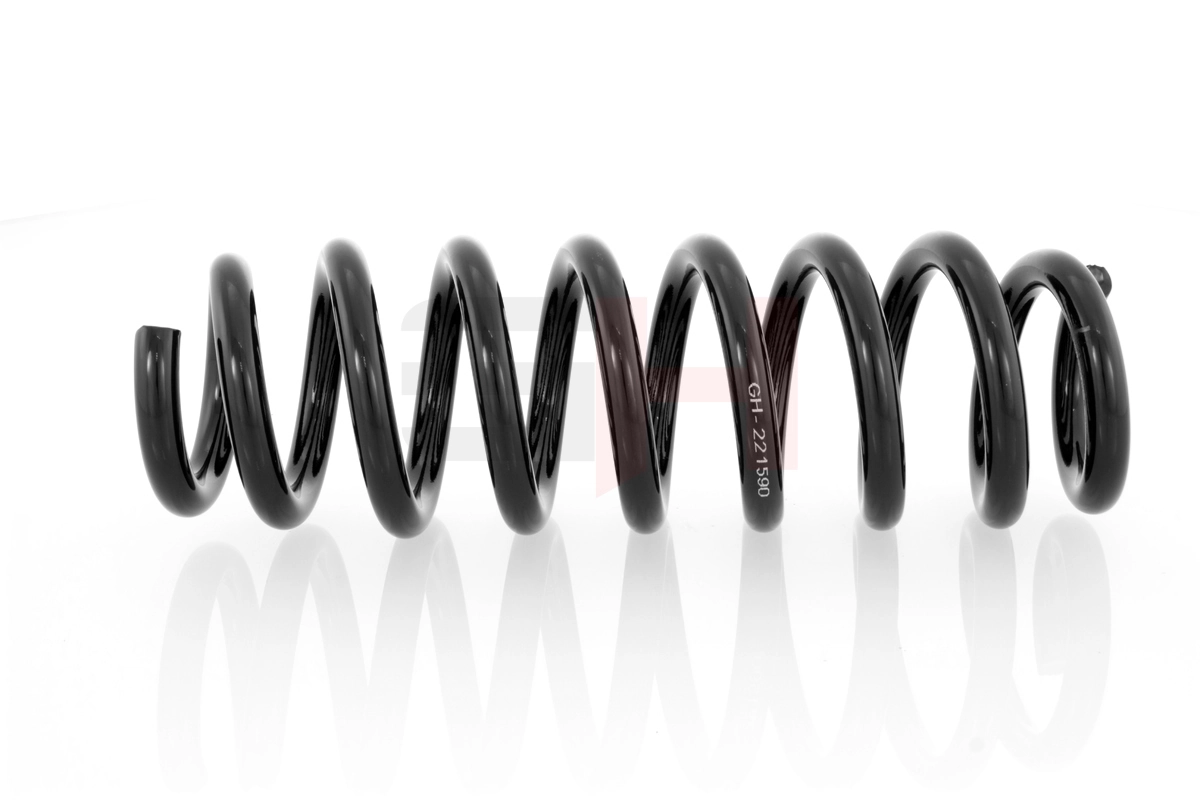 Muelle de suspensión trasero BMW 3 